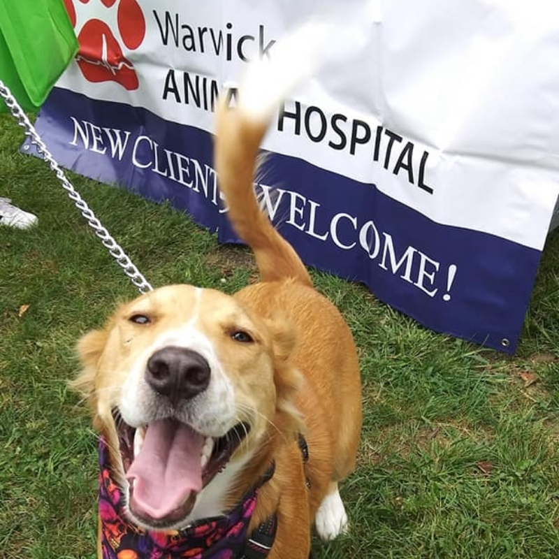 VetCor Community Connections September 2021